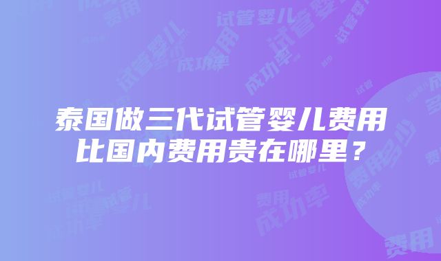 泰国做三代试管婴儿费用比国内费用贵在哪里？