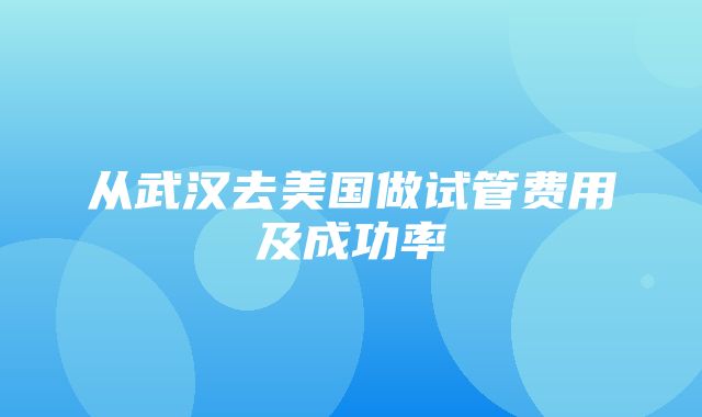 从武汉去美国做试管费用及成功率