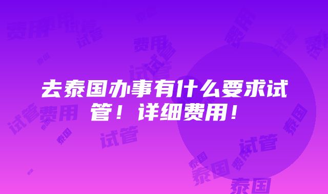 去泰国办事有什么要求试管！详细费用！