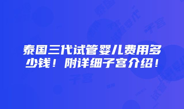 泰国三代试管婴儿费用多少钱！附详细子宫介绍！