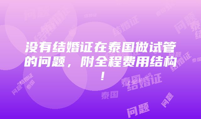 没有结婚证在泰国做试管的问题，附全程费用结构！