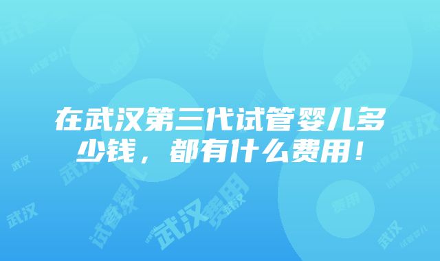 在武汉第三代试管婴儿多少钱，都有什么费用！