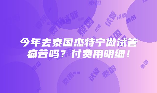 今年去泰国杰特宁做试管痛苦吗？付费用明细！