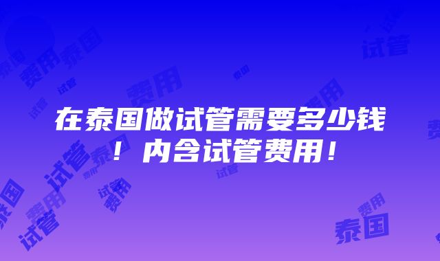 在泰国做试管需要多少钱！内含试管费用！