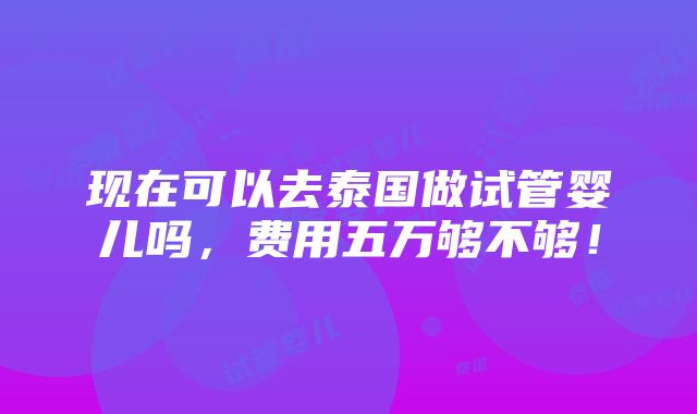 现在可以去泰国做试管婴儿吗，费用五万够不够！