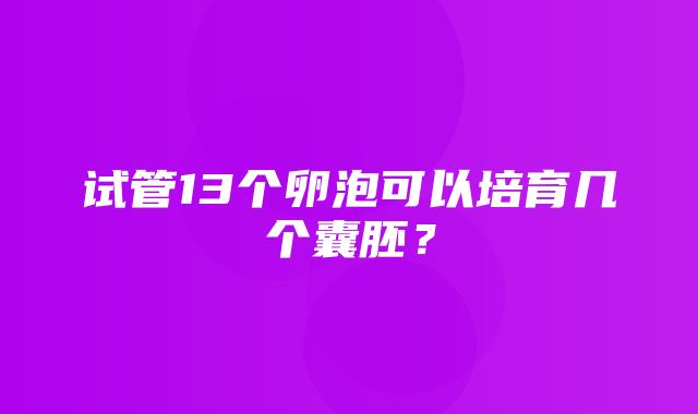 试管13个卵泡可以培育几个囊胚？