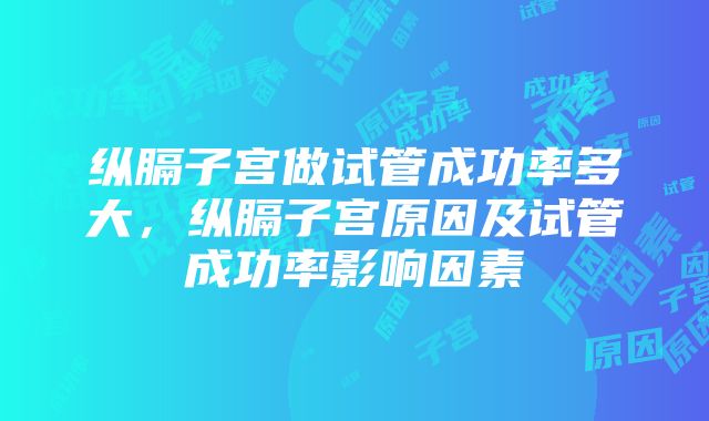 纵膈子宫做试管成功率多大，纵膈子宫原因及试管成功率影响因素