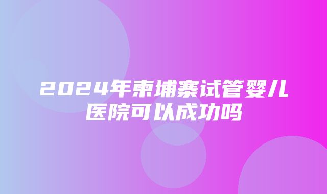 2024年柬埔寨试管婴儿医院可以成功吗