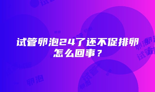 试管卵泡24了还不促排卵怎么回事？