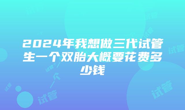 2024年我想做三代试管生一个双胎大概要花费多少钱