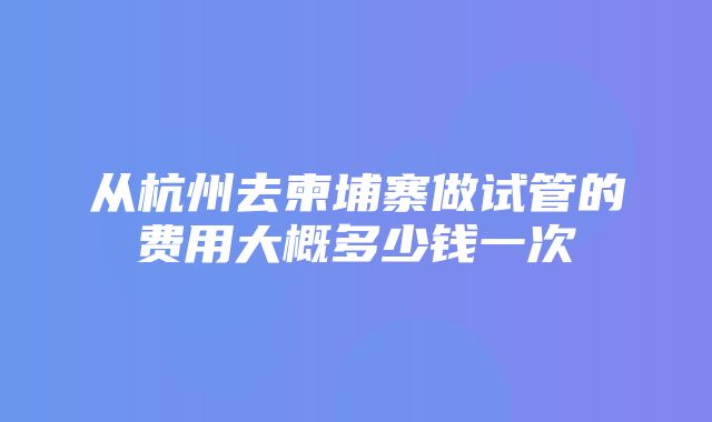 从杭州去柬埔寨做试管的费用大概多少钱一次