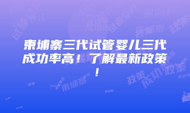 柬埔寨三代试管婴儿三代成功率高！了解最新政策！