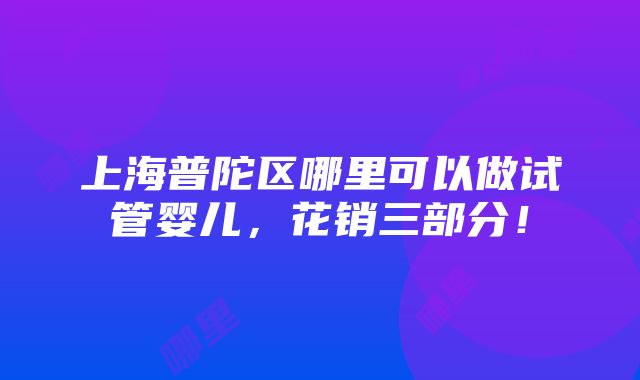 上海普陀区哪里可以做试管婴儿，花销三部分！