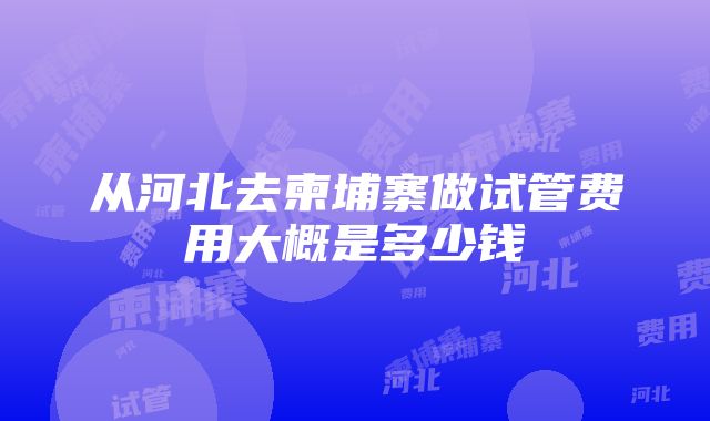 从河北去柬埔寨做试管费用大概是多少钱