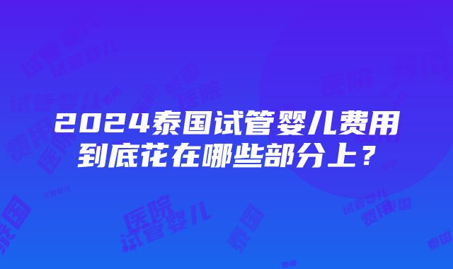 2024泰国试管婴儿费用到底花在哪些部分上？