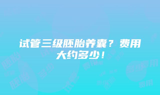 试管三级胚胎养囊？费用大约多少！