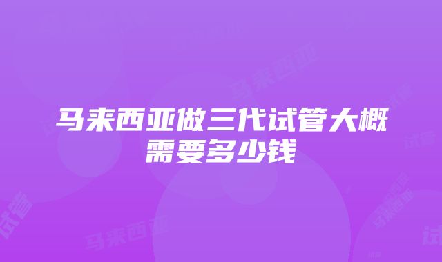 马来西亚做三代试管大概需要多少钱