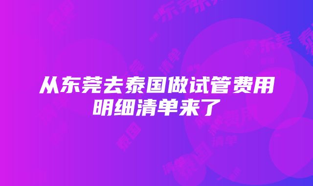 从东莞去泰国做试管费用明细清单来了