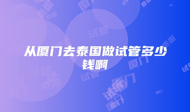 从厦门去泰国做试管多少钱啊