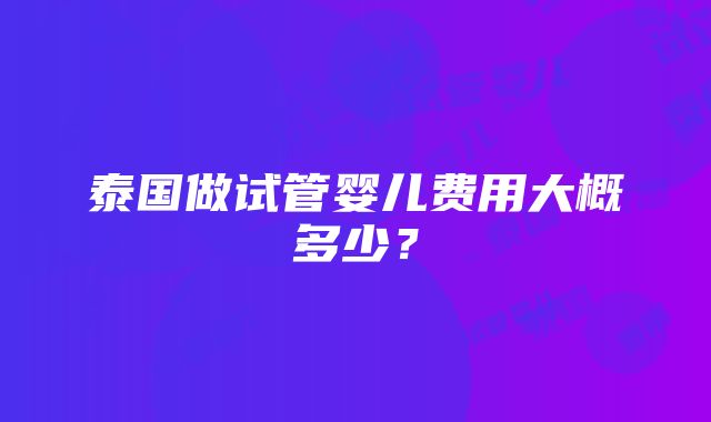 泰国做试管婴儿费用大概多少？