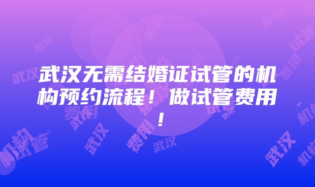 武汉无需结婚证试管的机构预约流程！做试管费用！