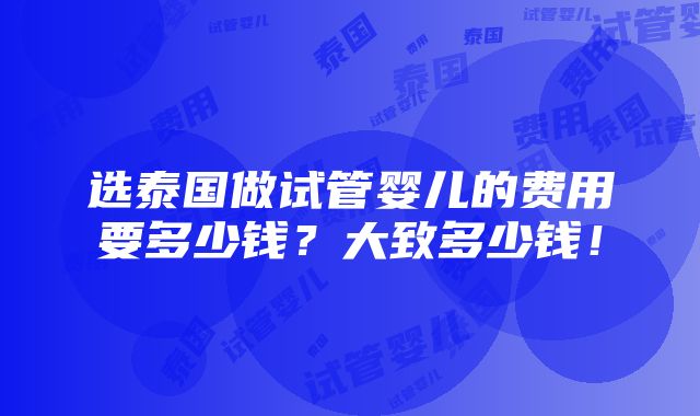 选泰国做试管婴儿的费用要多少钱？大致多少钱！