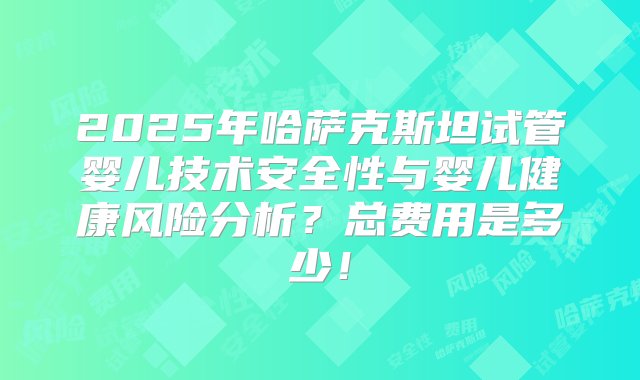 2025年哈萨克斯坦试管婴儿技术安全性与婴儿健康风险分析？总费用是多少！