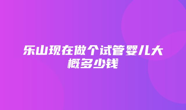 乐山现在做个试管婴儿大概多少钱