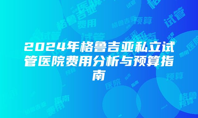 2024年格鲁吉亚私立试管医院费用分析与预算指南