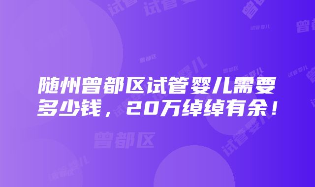 随州曾都区试管婴儿需要多少钱，20万绰绰有余！