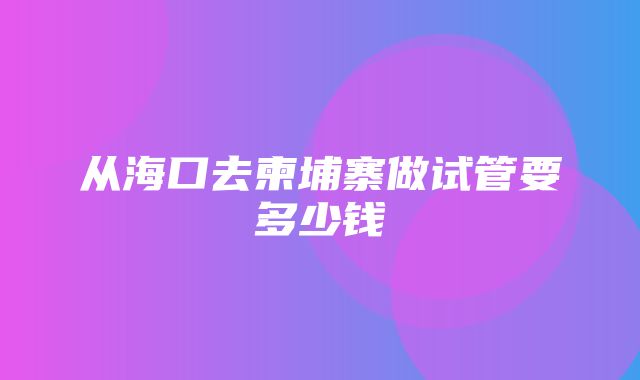 从海口去柬埔寨做试管要多少钱