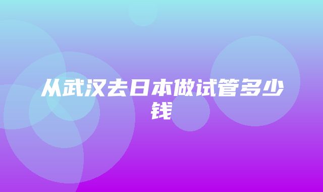 从武汉去日本做试管多少钱