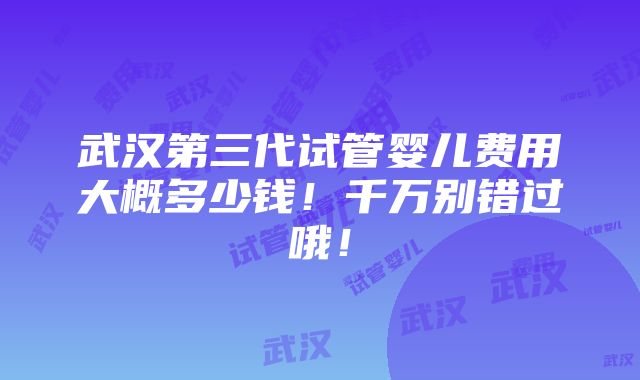 武汉第三代试管婴儿费用大概多少钱！千万别错过哦！