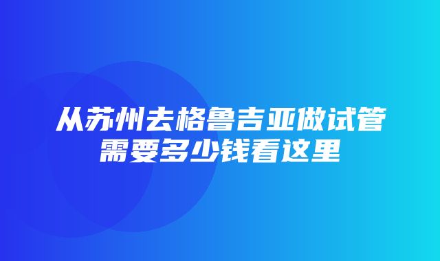 从苏州去格鲁吉亚做试管需要多少钱看这里