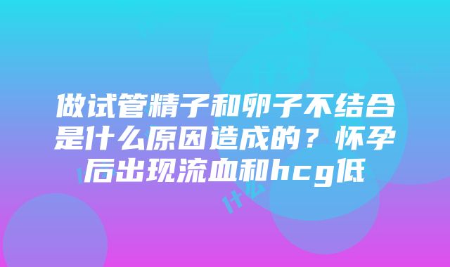 做试管精子和卵子不结合是什么原因造成的？怀孕后出现流血和hcg低