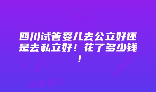 四川试管婴儿去公立好还是去私立好！花了多少钱！