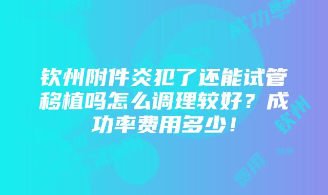 钦州附件炎犯了还能试管移植吗怎么调理较好？成功率费用多少！