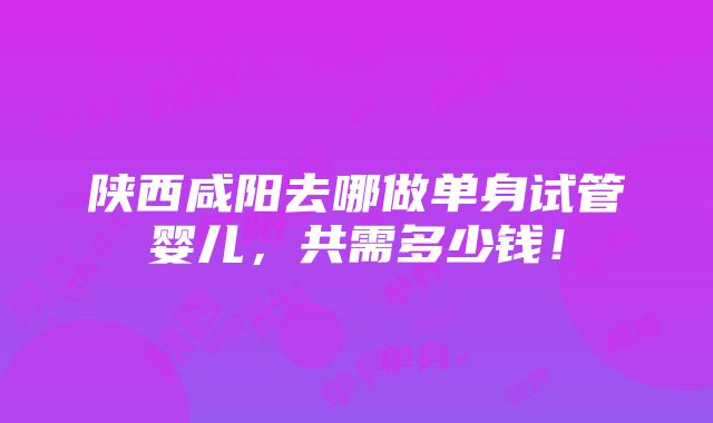 陕西咸阳去哪做单身试管婴儿，共需多少钱！