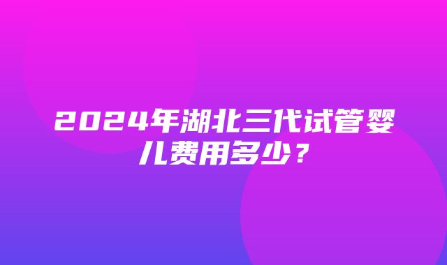 2024年湖北三代试管婴儿费用多少？