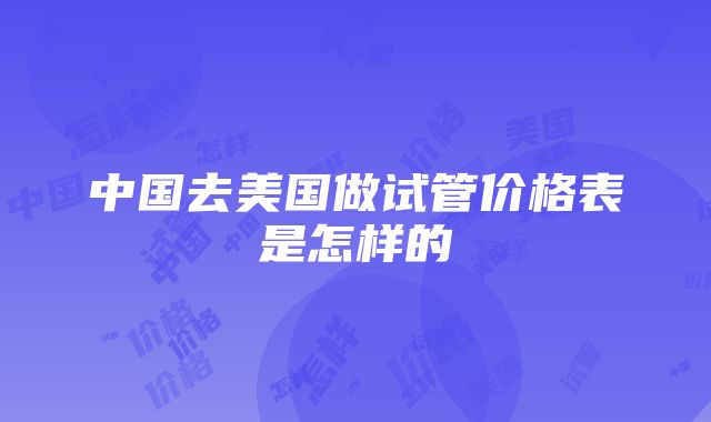 中国去美国做试管价格表是怎样的