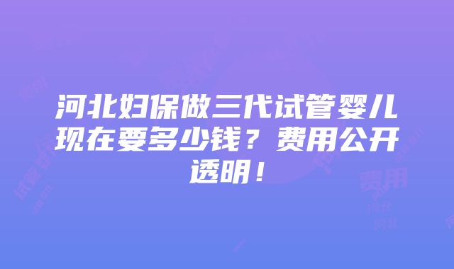 河北妇保做三代试管婴儿现在要多少钱？费用公开透明！