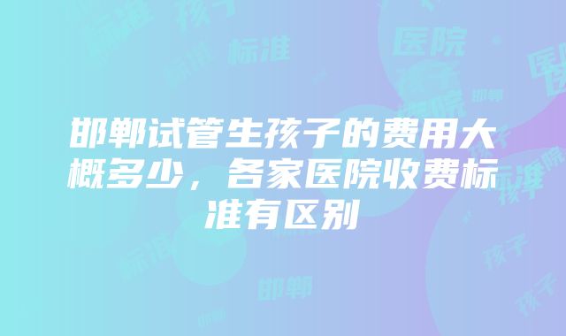 邯郸试管生孩子的费用大概多少，各家医院收费标准有区别