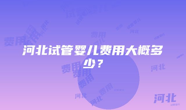 河北试管婴儿费用大概多少？