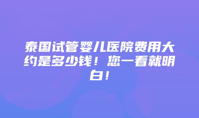 泰国试管婴儿医院费用大约是多少钱！您一看就明白！