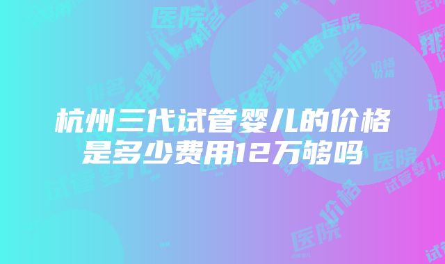 杭州三代试管婴儿的价格是多少费用12万够吗