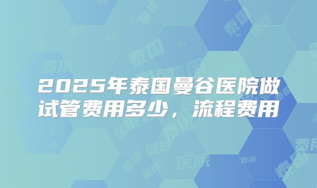 2025年泰国曼谷医院做试管费用多少，流程费用