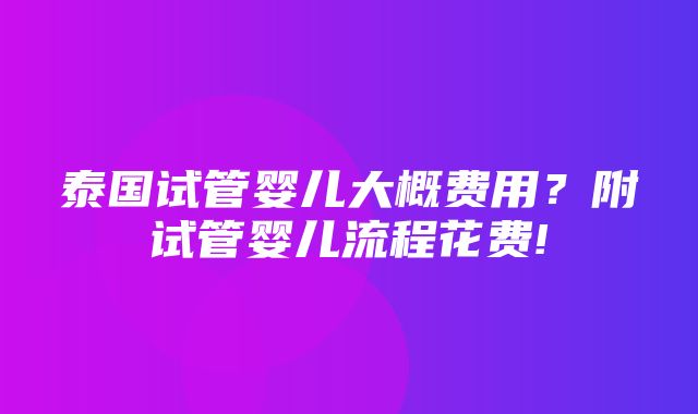 泰国试管婴儿大概费用？附试管婴儿流程花费!