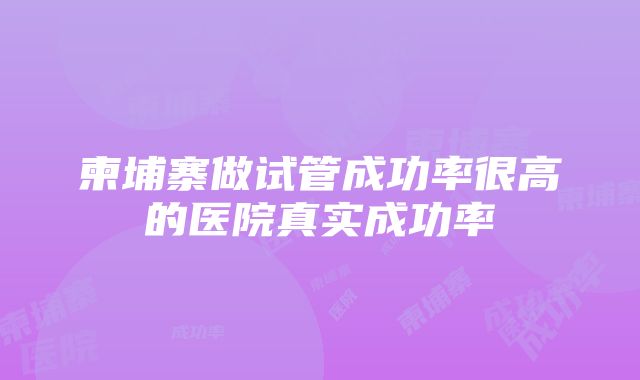 柬埔寨做试管成功率很高的医院真实成功率