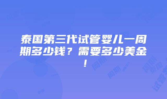 泰国第三代试管婴儿一周期多少钱？需要多少美金！