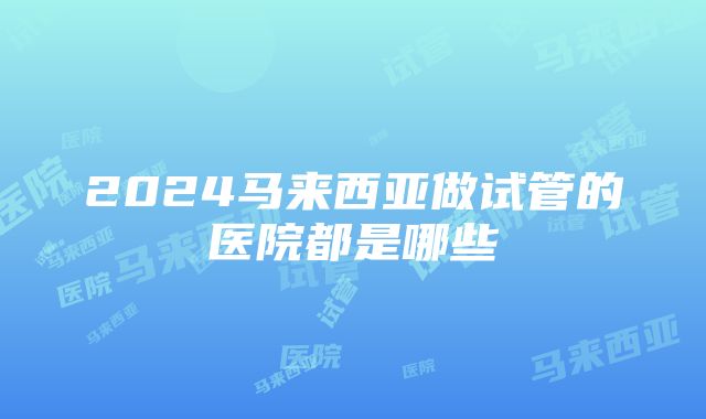 2024马来西亚做试管的医院都是哪些